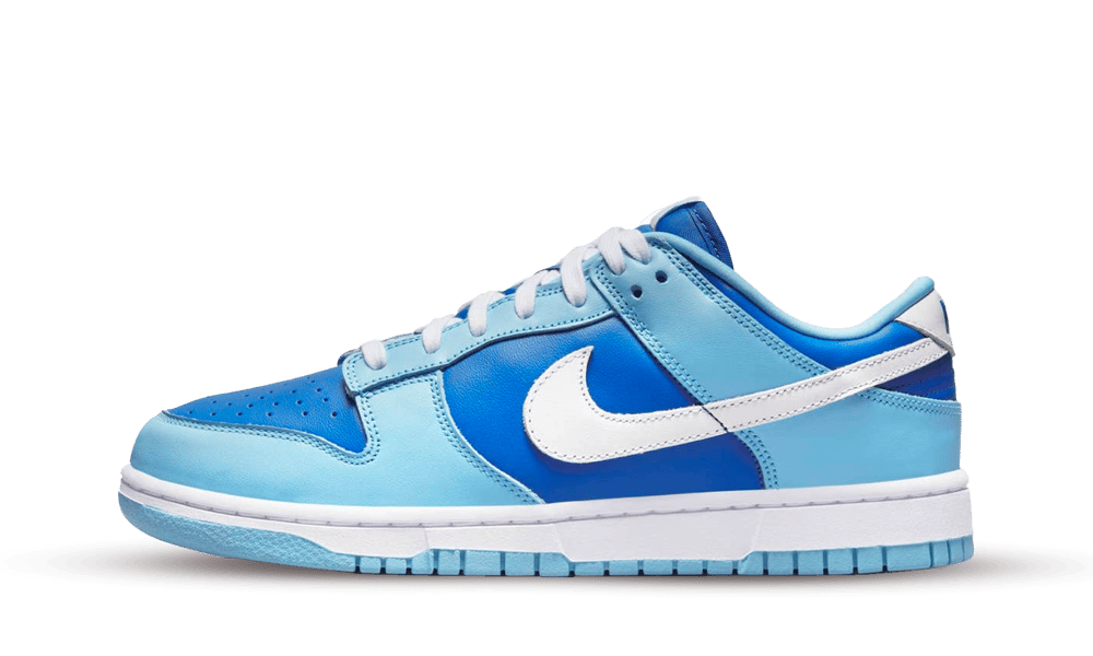 Nike Dunk Low Argon